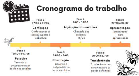 Imagem ilustrativa da fase inicial